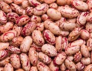 Wellnessway-Red Speckled Sugar Beans 2.5kg